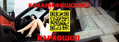 a pvp Камышлов