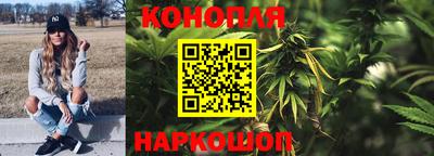 мдпв Кингисепп