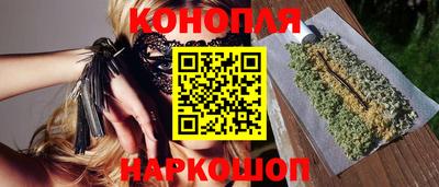 a pvp Камышлов
