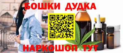 мдпв Кингисепп