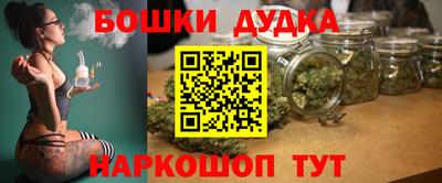 a pvp Камышлов