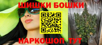 мдпв Кингисепп