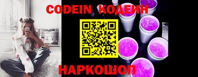 мдпв Кингисепп