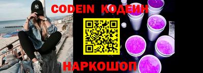 мдпв Кингисепп
