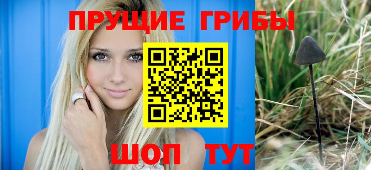 Псилоцибиновые грибы GOLDEN TEACHER Котлас