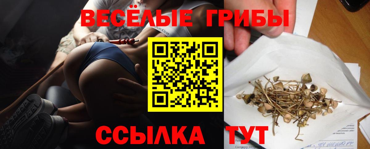 Псилоцибиновые грибы Psilocybe  Галлюциногенные грибы мухоморы  Вход с VPN  Котлас 